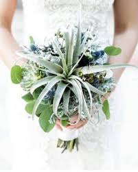 We did not find results for: 900 Say I Do With Air Plants Ideas Wedding Plants Wedding Air Plants