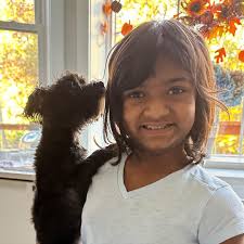 Rollie Pollie Ollie Nostalgia