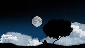 Find the best moon wallpaper on wallpapertag. Hd Wallpaper Alone Sad Lone Tree Full Moon Sky Cloud Silhouette Lonely Tree Wallpaper Flare
