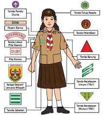 Maybe you would like to learn more about one of these? Kunci Jawaban Tema 8 Kelas 3 Sd Halaman 45 46 47 49 50 51 Subtema 1 Aku Anggota Pramuka Pembelajaran 6 Buku Tematik