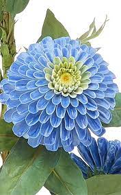 Zinnias Flower Continuously Over A Long Summer And Fall Growing Season And Mix Nicely With Other Annuals And Perennials Bo Zinnia Flowers Flower Seeds Zinnias