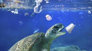Stellt euch vor, ihr seid umweltpolitiker. Hunderte Millionen Tonnen Plastikmull Allein Im Atlantik Mdr De