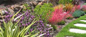 Plants That Can Hack The Heat Palmers Garden Centre Drought Resistant Plants Drought Tolerant Landscape Drought Resistant Landscaping