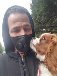 Superior Dog Training