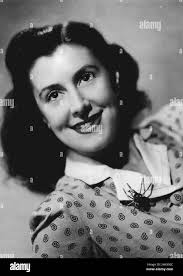 Noel lloyd hi-res stock photography and images