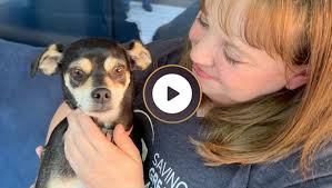 Video Production Portfolio