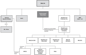 Explanatory Metlife Organizational Chart 2019