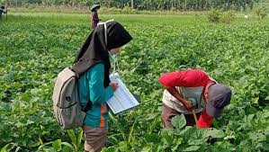 Oct 04, 2017 · indonesia termasuk salah satu negara yang termasuk dalam wilayah tropis dan memiliki potensi pertanian yang sangat baik. Ada Pandemi Corona Penyuluhan Pertanian Tetap Jalan