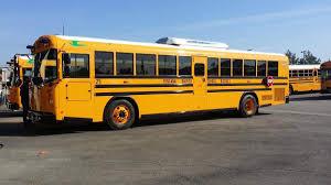 Image result for School Bus Yellow 2019 Transit