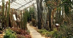 Virtuelles forum über pflanzen der welt und ihre bedeutung in der kulturgeschichte Botanischer Garten Der Technischen Universitat Dresden