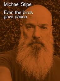 Image result for michael stipe