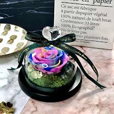 Infinity rose in a glass vase, eternal rose with preserved moss, forever rose. Show Loved Ones You Care With These Stunning Preserved Flowers That S Shanghai