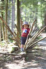 Ameisenstrasse Naturerlebnisweg Bodenmais Bayerischer Wald Urlaub Im Bayerischen Wald Bodenmais Wandern Bayerischer Wald