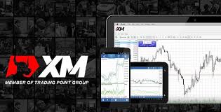 Brand new traders should stick to a platform like etoro, that also offers copy trading. Xm Webtrader Is Now Mt4 Based