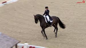 Maybe you would like to learn more about one of these? Fohlenhofs Rock N Rose Verstirbt Bei Siegerehrung Sport News Reiterrevue International