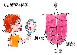 舌苔（ぜったい）が起こる原因と改善法 | 大津市の鍼灸なら改善率93.5％を誇る東洋はり灸院大津石山院 さん