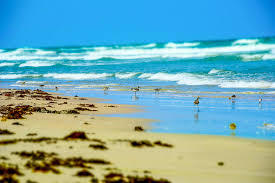 A small, uninhabited portion extends into orange county. 9 Best Beaches In Texas For Families Family Vacation Critic