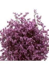 Limonium Caspia Avas Flowers Purple Carnations Purple Flowers Purple Wedding Centerpieces