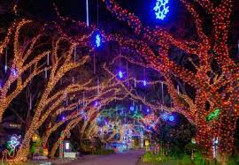 Maybe you would like to learn more about one of these? Best Holiday Light Displays In Palm Beach County