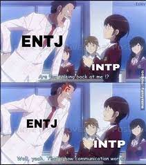 Pin By Spicy Ochxko On Mbti Interactions Entj Intp Interactive