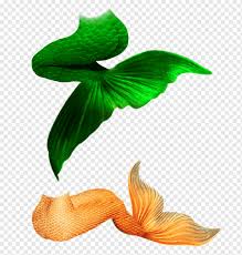 Über 80% neue produkte zum festpreis; Red And Orange Mermaid Tails Mermaid Drawing Mermaid S Tail Png Material Material Tail Png Pngwing