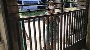 Pasir gudang is a city in johor bahru district, johor, malaysia. Https Jatim Tribunnews Com 2021 07 18 Pemkab Jember Tni Dan Polri Gelontorkan Bantuan Kepada Warga Terdampak Ppkm Darurat Https Cdn 2 Tstatic Net Jatim Foto Bank Images Bupati Jember Hendy Siswanto Memberikan Bantuan Kepada Pkl Di Seputaran