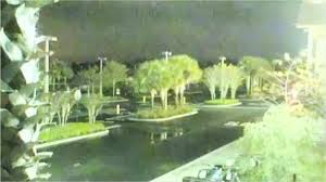 There is a bass pro shop and a couple of other large restaurants that line the pond. Bass Pro Shops Firearms Stolen During Burglary