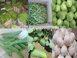 Organic Vegetables Suppliers Exporters Manufacturers In Tamil Nadu