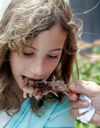 Heritage Day in Belvidere