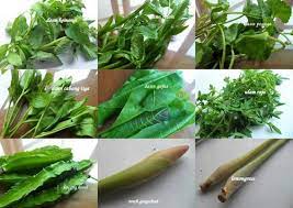 Nasi Ulam Utara Herbed Rice Savoury Food Malaysian Food