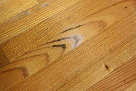 The Best How To Clean Black Mold From Hardwood Floors And Description In 2020 Cleaning Wood Cleaning Wood Floors Mold Remover