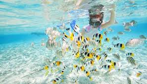 Langkawi to koh lipe low season 16th june 19 to 19th oct 2019. Pulau Payar Snorkeling Package 2021 Promo From As Low As Rm150