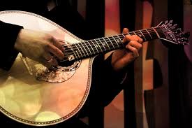 Image result for Fadogiella