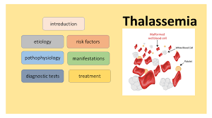 Check spelling or type a new query. Ayah Alaamri Video Presentation Thalassemia
