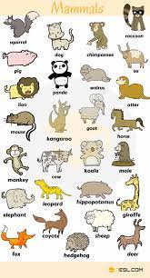 Animal Names Types Of Animals List Of Animals Animal Pictures 7esl
