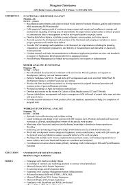 Analyst Functional Resume Samples Velvet Jobs