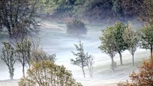 Frost in May should come as no surprise