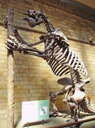 10 Mega Beasts From The World S Greatest Migration Ground Sloth Megafauna Prehistoric Animals