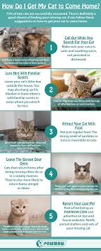 How much time your new cat adoption will really needs is dependent on the type of cat, including but the best way to find a veterinarian is by word of mouth. How Do I Get My Cat To Come Home