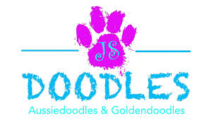 Goldendoodle black golden labradoodle golden doodle dog golden doodles types of coats labradoodles service dogs pet stuff mans best friend. Js Doodles Breeder Aussiedoodles Goldendoodles London Ontario Aussiedoodle Goldendoodle Puppies For Sale Aussiedoodle Breeder In Ontario Goldendoodle Breeder In Ontario