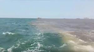 Lewat lorong air itulah nabi musa dan. Heboh Fenomena Laut Terbelah Jadi 2 Warna Dari Pasuruan Hingga Sidoarjo Bagian 1