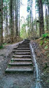 Take The Stairs The Green Bridge Chatelherault Country Park Hamilton Landscape Stairs Take The Stairs Country Park