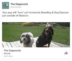 Pin On Facebook Page Like Ad Examples