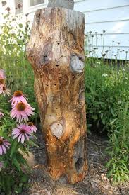 A Drilled Log In The Garden Provides Nesting Habitat For Lots Of Bees Great Easy Solution To Give Carpenter And Mason B Native Bees Mason Bees Habitat Garden