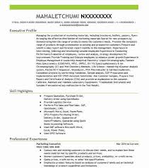 The template can be downloaded for free and it can be used for sales and. Marketing Executive Resume Example Executive Resumes Livecareer