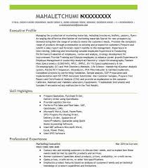 Even the most senior executives in all areas of commerce. Marketing Executive Resume Example Executive Resumes Livecareer