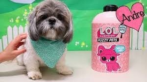 Juguetes con andre en español jugando con. Andre Jugando Con Fuzzy Pets De Munecas L O L Surprise Y Con Perrito Hamilton Youtube