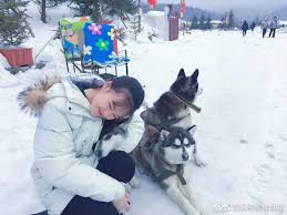 It's about zhang baoqing, a young man who came a long way to dongbei and tried to find the cure for his teacher, but found himself might already involved in something very dangerous that seemed to connect to the mysterious sky hole. Wen Qi Eagles And Youngster Youngsters Eagles Chinese Actress