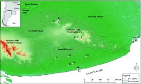 South america > argentina > pampas. Modern Bone Distribution In The Pampas Of Argentina Taphonomic Implications For The Regional Archaeological Record Springerlink