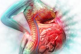 Manche spüren schon in der. Schleimpfropf Lexikon Fur Medizin Gesundheit Medlexi De